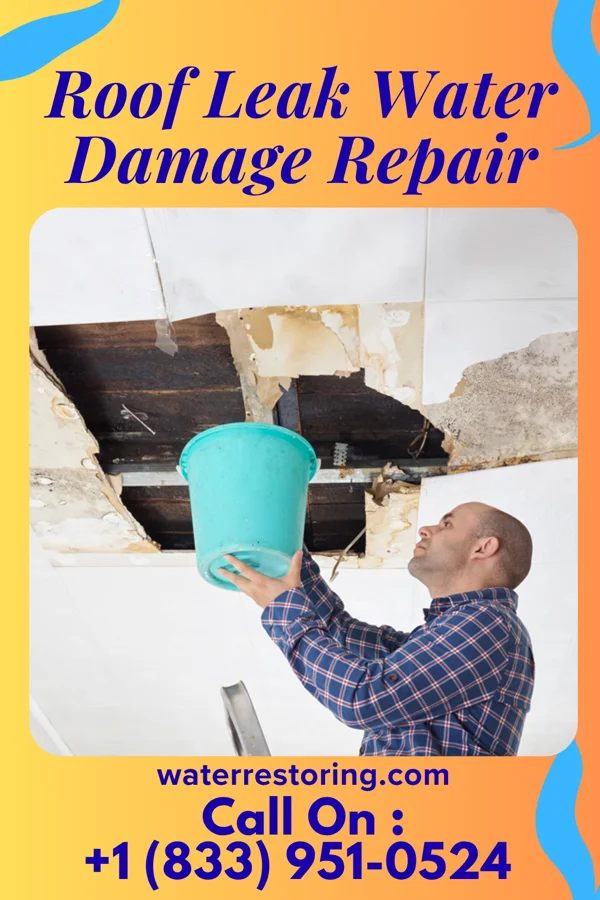 Roof Leak Water Damage Repair in Cumberland, KY