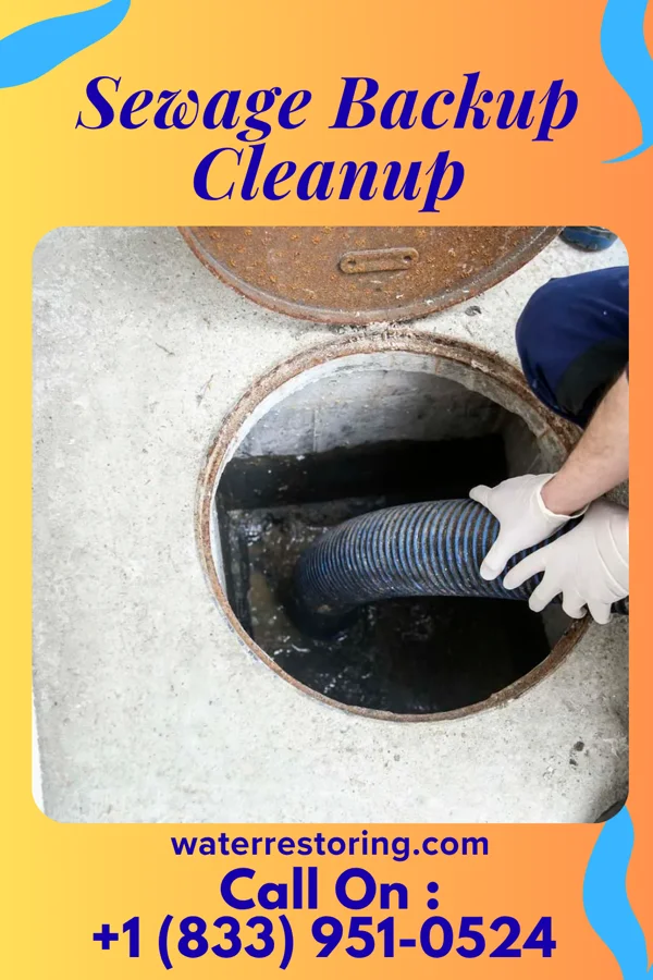 Sewage Backup Cleanup in Cumberland, KY
